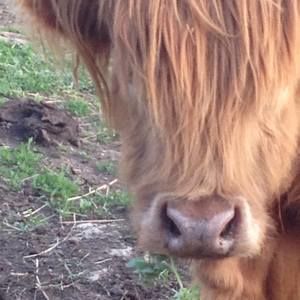 Meet your Posher, Catherine